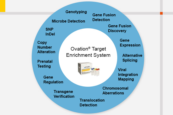 Genotyping-by-Sequencing simplified