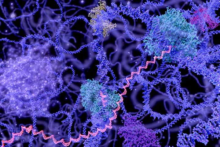 Exome approach: Identifying treatment targets