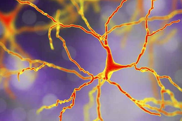 Mapping Hydroxymethylation Patterns in Neurodegenerative Disease