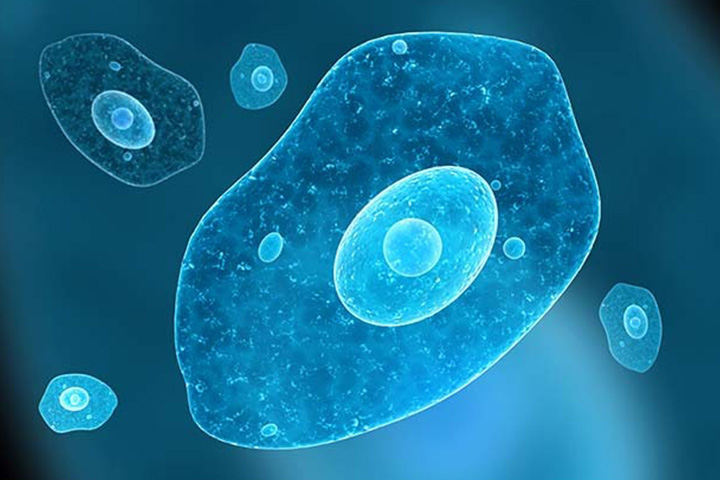 Uncovering the cause: Applying RNA-Seq for disease diagnostics