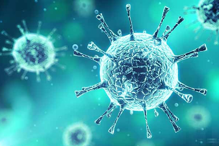 Protective correlations: Response to seroconversion