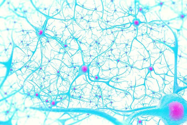 Modulating disease: A community effect on disease outcome