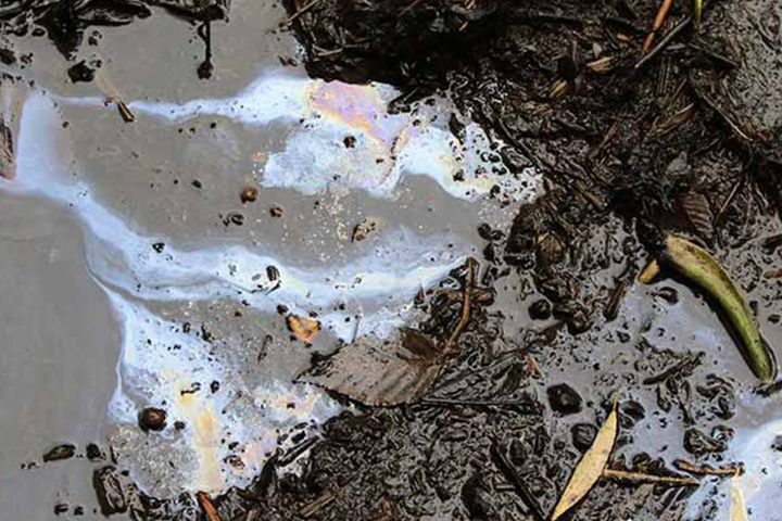 Feasting on oil: Attack by the soil microbiome
